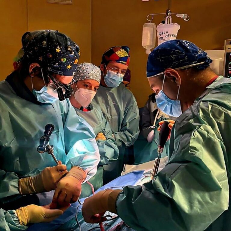 Gestione integrata degli aneurismi cerebrali: nel 2025 consolidato il ...